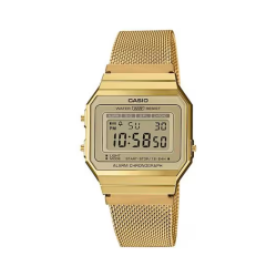 CASIO