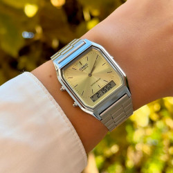 CASIO